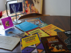 ONG promove educação antirracista nas escolas públicas do Rio