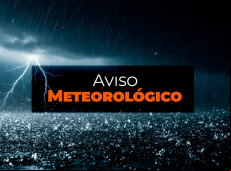 Reprodução Internet